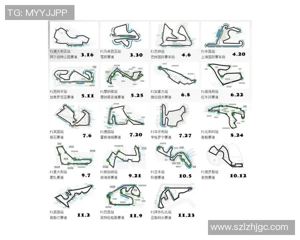 F1赛季车队协作与赛道表现关系