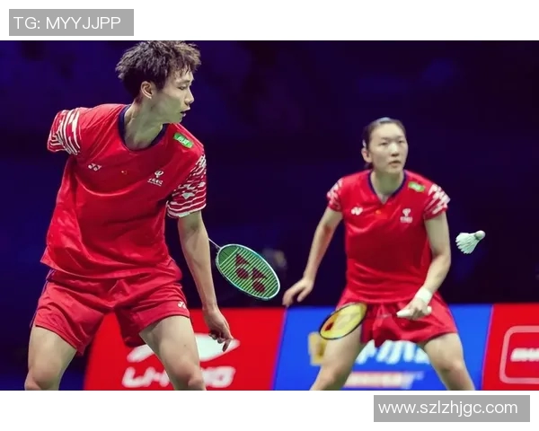 羽毛球顶级赛事回顾与未来展望