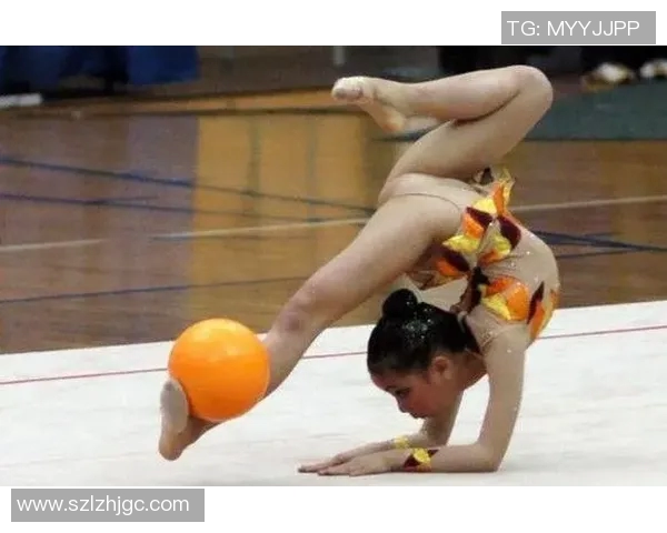 奥运会体操比赛评分标准详解